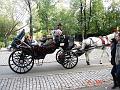 NJ_NY 183